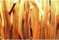 Lampadaire design 175 cm en bois flotté coloris blanc