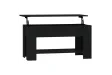 Table basse Noir 101x49x52 cm 