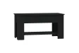 Table basse Noir 101x49x52 cm 