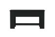 Table basse Noir 101x49x52 cm 