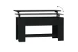 Table basse Noir 101x49x52 cm 