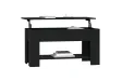 Table basse Noir 101x49x52 cm 