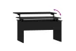 Table basse Noir 80x50,5x41,5 cm 