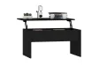 Table basse Noir 80x50,5x41,5 cm 