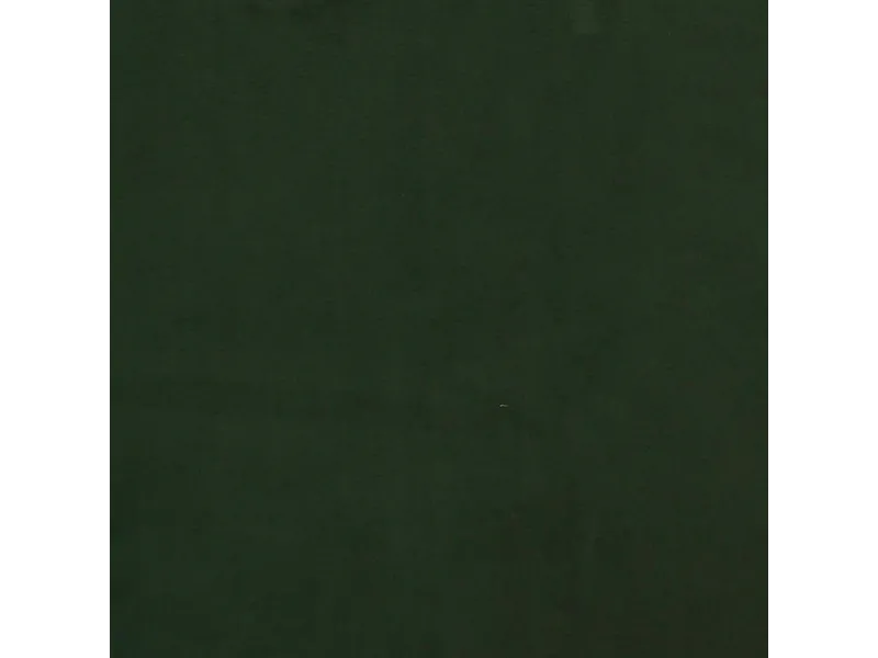 Canapé-lit à 2 places avec deux oreillers Vert foncé Velours