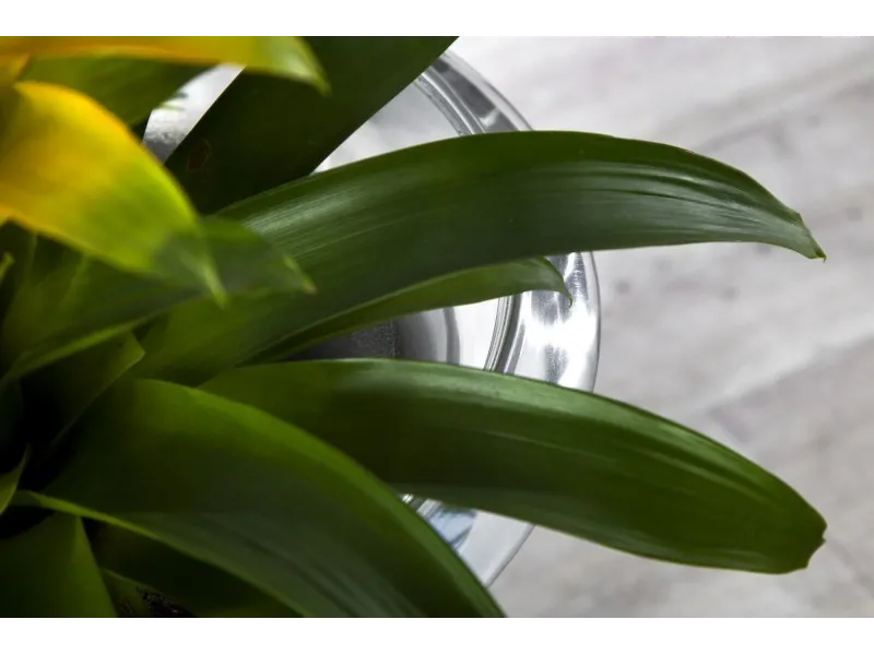 Vase design en aluminium de couleur argenté