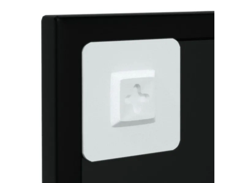 Miroirs muraux 2 pcs noir 100x40 cm métal