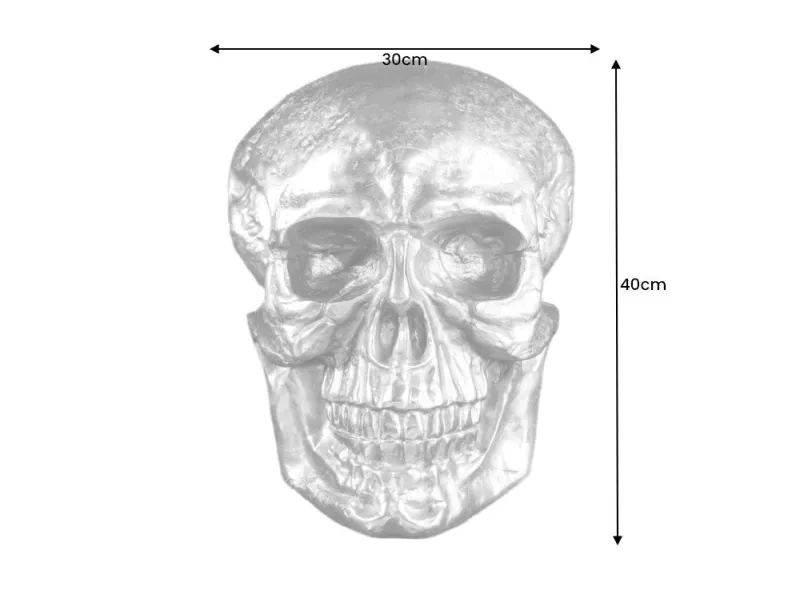 Sculpture murale design crâne humain en aluminium coloris argenté F...