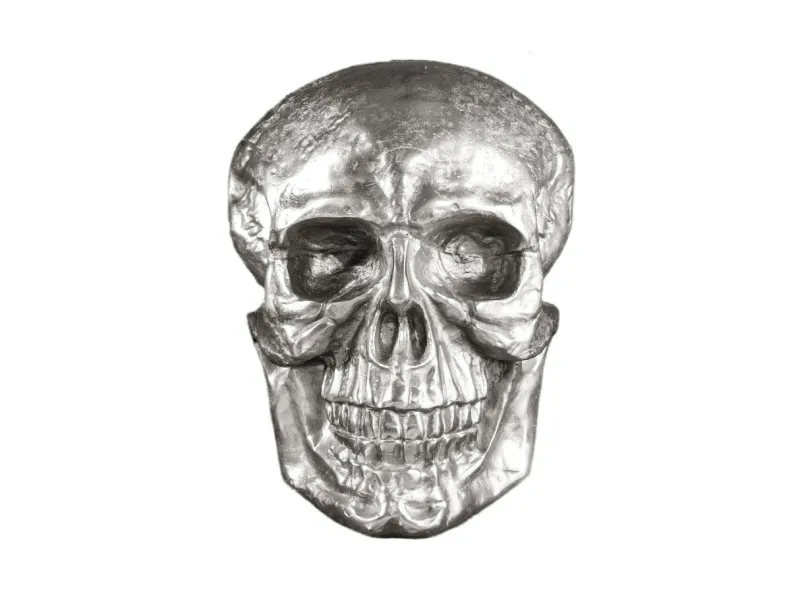 Sculpture murale design crâne humain en aluminium coloris argenté F...