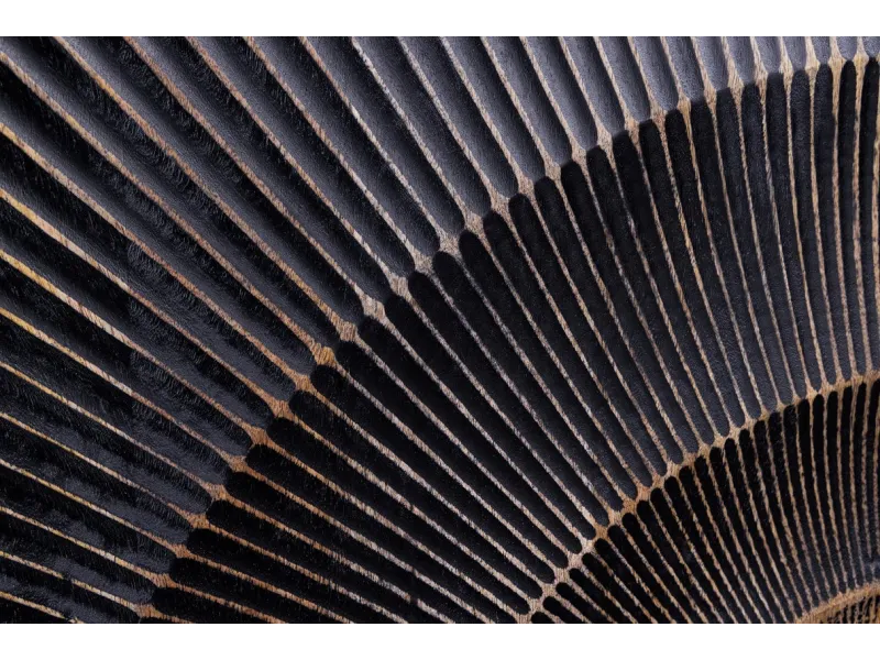 Armoire en  bois massif sculpté scorpion coloris noir 141cm pas cher