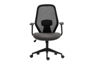 Fauteuil de Bureau Ergonomique, avec accoudoirs réglables et Tissu en Maille, idéale comme Chaise de Joueur coloris gris 2