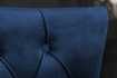 Lot de 2 Chaises de château en velours bleu roi en acier inoxydable, tête de lion