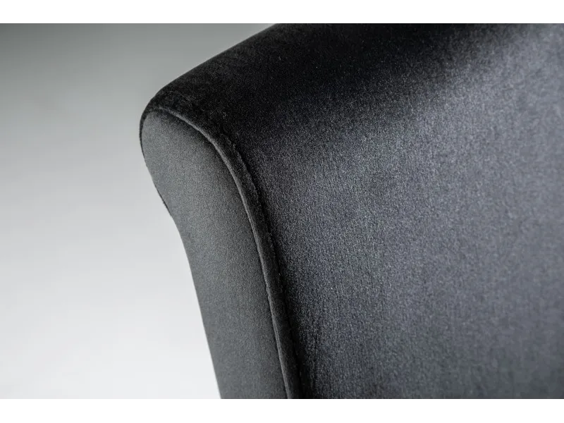 Lot de 2 Chaises de salle à manger design baroque coloris noir