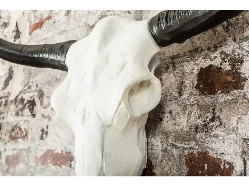 Trophée mural design crâne de taureau coloris blanc et noir de 70 cm