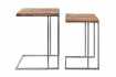 Table d'appoint Barracuda set de 2 bois recyclé