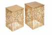 Ensemble de 2 tables d'appoint en forme de feuille en métal doré