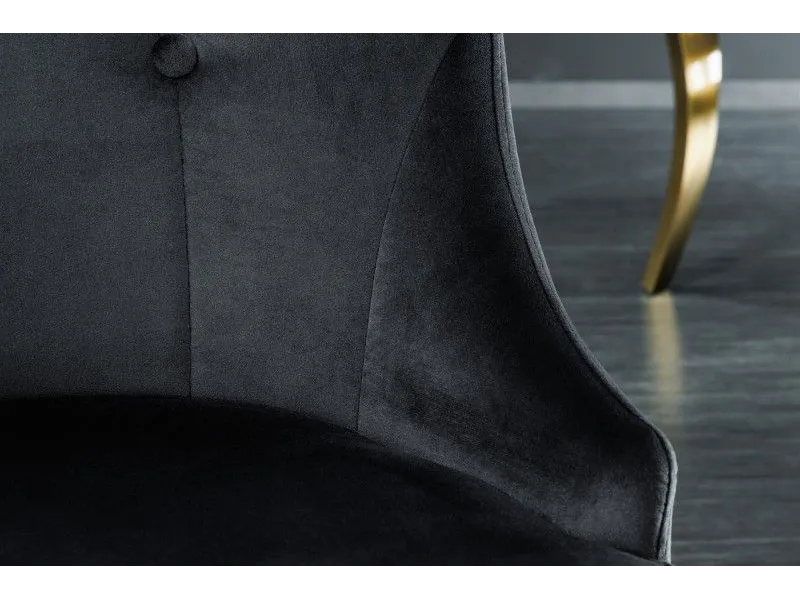 Lot de 2 Chaises de château en velours noir piètement en acier inoxydable, tête de lion doré