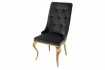 Lot de 2 Chaises de château en velours noir piètement en acier inoxydable, tête de lion doré