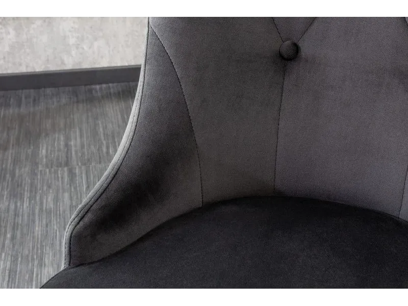 Lot de 2 Chaises de château en velours noir piètement en acier inoxydable, tête de lion argenté