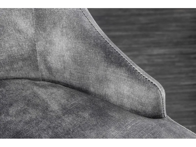 Lot de 2 Chaises de château en velours gris piètement en acier inoxydable, tête de lion doré