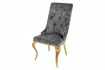 Lot de 2 Chaises de château en velours gris piètement en acier inoxydable, tête de lion doré