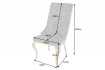 Lot de 2 Chaises de château en velours gris piètement en acier inoxydable, tête de lion doré