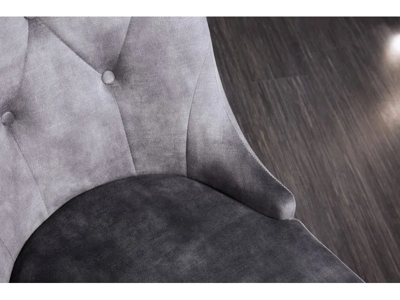 Lot de 2 Chaises de château en velours gris piètement en acier inoxydable, tête de lion argenté