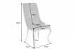Lot de 2 Chaises de château en velours gris piètement en acier inoxydable, tête de lion argenté