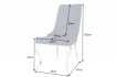 Lot de 2 Chaises de château en velours bleu royal piètement en acier inoxydable, tête de lion argenté